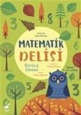 Matematik Delisi