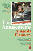 The Amusements (eBook, ePUB)