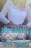 Inn-cidental Encounter (The Beauregards and the Dupres, #1) (eBook, ePUB)