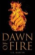 Dawn of Fire (eBook, ePUB) - Bild 1