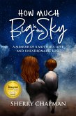 How Much Big Is the Sky: A Memoir of a Mother's Love and Unfathomable Loss (eBook, ePUB)