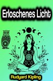 Erloschenes Licht (eBook, ePUB)