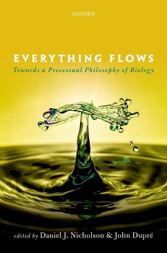 Cover Everything Flows (eBook, PDF)