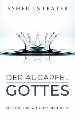 Der Augapfel Gottes (eBook, ePUB)