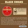 Black Swans (First African American... - Bild 1