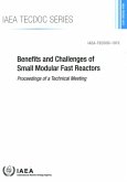 Benefits and Challenges of Small Modular Fast Reactors: Benefits and Challenges of Small Modular Fast Reactors: IAEA Tecdoc No. 1972