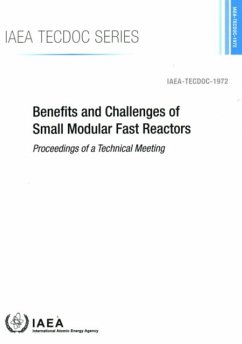 Benefits and Challenges of Small Modular Fast Reactors: Benefits and Challenges of Small Modular Fast Reactors: IAEA Tecdoc No. 1972 - International Atomic Energy Agency