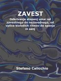 Zavest (eBook, ePUB)