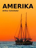 Amerika (eBook, ePUB)