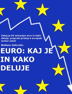 Euro: kaj je in kako deluje (eBook, ePUB) - Calicchio, Stefano