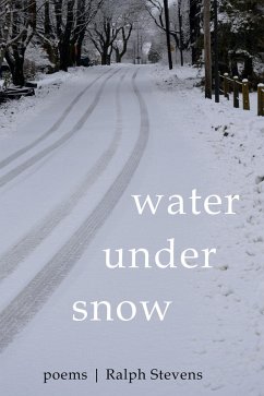 Water under Snow (eBook, ePUB) - Stevens, Ralph