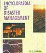 Encyclopaedia Of Disaster Management... - Bild 1