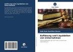 Auflösung und Liquidation von Unternehmen