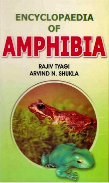 Encyclopaedia of Amphibia (Amphibia of Past and Present) (eBook, ePUB) Encyclopaedia of Amphibia (Amphibia of Past and Present) (eBook, ePUB)