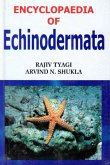 Encyclopaedia of Echinodermata (Comparative Anatomy Of Echinodermata) (eBook, ePUB)