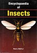 Encyclopaedia of Insects (eBook, ePUB) - Bild 1