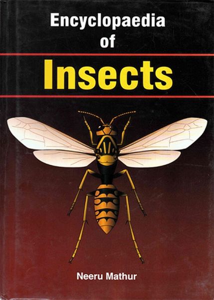 Encyclopaedia of Insects (eBook, ePUB) Encyclopaedia of Insects (eBook, ePUB)