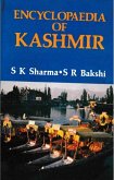 Encyclopaedia of Kashmir (Nehru and Kashmir) (eBook, ePUB)