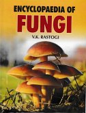 Encyclopaedia Of Fungi (eBook, ePUB)