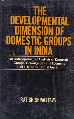 Development of Dimension of Domestic Groups in India (eBook, ePUB) - Srivastava, Ratish