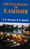 Encyclopaedia of Kashmir (Kashmir Society and Culture) (eBook, ePUB)