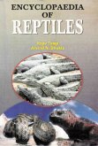 Encyclopaedia of Reptiles (Ruling Reptiles) (eBook, ePUB)
