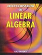 Encyclopaedia of Linear Algebra (eBook,... - Bild 1