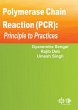 Polymerase Chain Reaction (PCR) :... - Bild 1