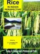 Rice In Indian Perspective (eBook, ePUB) - Bild 1