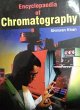 Encyclopaedia Of Chromatography (eBook,... - Bild 1