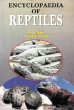 Encyclopaedia of Reptiles (Life of... - Bild 1