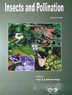 Insects And Pollination (eBook, ePUB) - Raju, A. J. Solomon