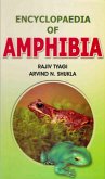 Encyclopaedia of Amphibia (Amphibian Sex Organs) (eBook, ePUB)