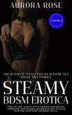 Steamy BDSM Erotica - Volume 2 (eBook, ePUB)