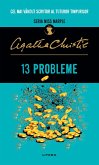 13 probleme (eBook, ePUB)