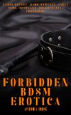 Forbidden BDSM Erotica - Volume 5 (eBook, ePUB)