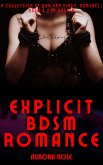 Explicit BDSM Romance - Volume 5 (eBook, ePUB)