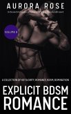 Explicit BDSM Romance - Volume 9 (eBook, ePUB)
