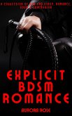 Explicit BDSM Romance - Volume 10 (eBook, ePUB)