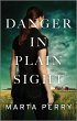Danger in Plain Sight (eBook, ePUB) - Bild 1