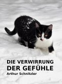 Verwirrung der Gefühle (eBook, ePUB)