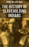 The History of Slaveholding Indians (eBook, ePUB)
