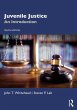 Juvenile Justice (eBook, ePUB) - Bild 1