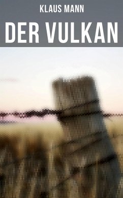 Der Vulkan (eBook, ePUB) - Mann, Klaus