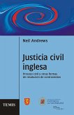 Justicia civil inglesa (eBook, PDF)