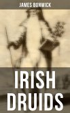 Irish Druids (eBook, ePUB)