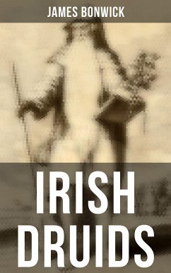 Irish Druids (eBook, ePUB) - Bonwick, James