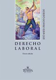 Derecho laboral (eBook, PDF)