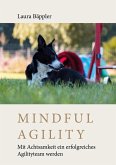 Mindful Agility Mindful Agility