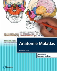 Anatomie Malatlas - Kapit, Wynn;Elson, Lawrence M.
